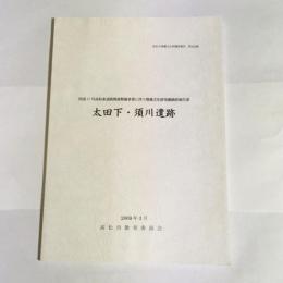 太田下・須川遺跡 : 国道11号高松東道路関連整備事業に伴う埋蔵文化財発掘調査報告書
