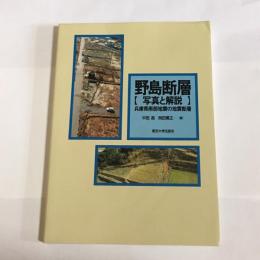 野島断層 : 写真と解説 : 兵庫県南部地震の地震断層