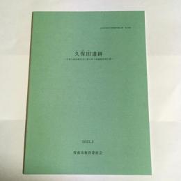 久保田遺跡　高知県香南市発掘調査報告書　第１９集