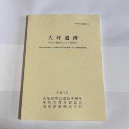 大坪遺跡　甲府市文化財調査報告９０