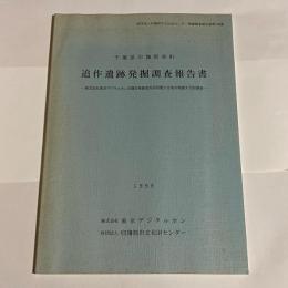 追作遺跡発掘調査報告書