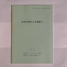 市原市畑木小谷遺跡