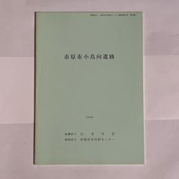 市原市小鳥向遺跡