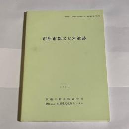 市原市郡本大宮遺跡