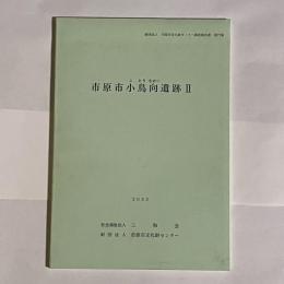 市原市小鳥向遺跡