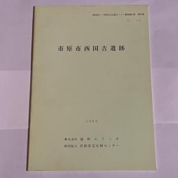 市原市西国吉 (にしくによし) 遺跡