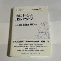 市民社会の比較政治学