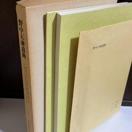 野中天神遺跡 : 一般国道50号(東前橋拡幅)改築工事に伴う埋蔵文化財発掘調査報告書第4集