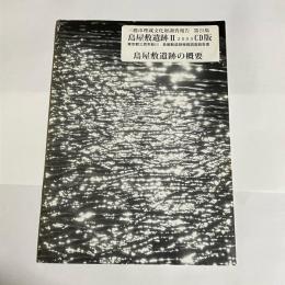 三鷹市埋蔵文化財調査報告　第25集　島屋敷遺跡２　２００３　CD版