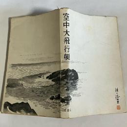 空中大飛行艇
