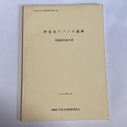 伊是名ウフジカ遺跡発掘調査報告書