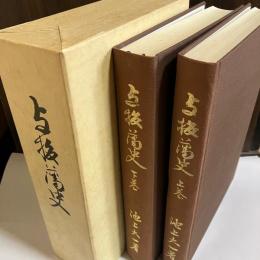 与板藩史