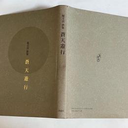 蒼天遊行 : 堀青渓歌集