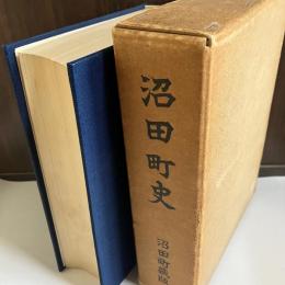 沼田町史 : 沼田を中心とする利根の研究