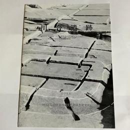 川合遺跡 : 静清バイパス(川合地区)埋蔵文化財発掘調査概報