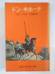 ドン・キホーテ　岩波少年文庫