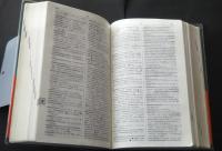 博友社ロシア語辞典