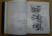 Microsurgery of  the Spinal Cord and Surrounding Structures‐Anatomical and Technical Principles
