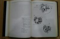 Microsurgery of  the Cranial Base