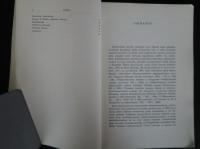 Pääpainollisen tavun jälkeisen soinnillsen dentaalispirantin edustus suomen murteissa
