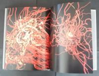 Jae-Eun Choi Seiko Mikami : ArT RANDOM