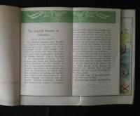 NEW LIGHT　READERS　-BOOK 5 　Revised　Edition   ニウ・ライト・リーダーズ　5　中学校・外国語科