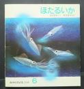 ほたるいか　かがくのとも　195号