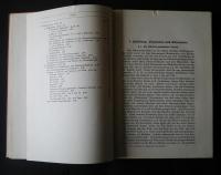 Slavischer Grundriss-Geschichte der Altkirchischenslavischen Sprache :Erster Band-Laut und Formenlehre