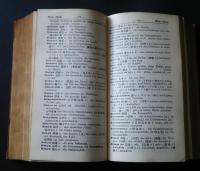 新訳註解和独辞典