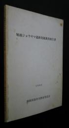 堀越ジョウヤマ遺跡発掘調査報告書