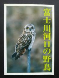 富士川河口の野鳥　鳥たちにやさしい環境を守り育てるために