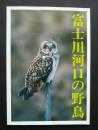 富士川河口の野鳥　鳥たちにやさしい環境を守り育てるために