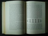 Language and Languages