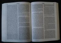 Литературная　энциклопедия-терминов　и　понятий　