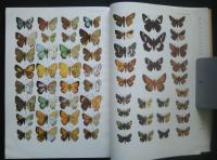 The Butterflies of the Far-East USSR =Булавоусые чешуекрылые дальнего востока Ссср -определитель