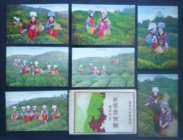 静岡名物　茶摘絵葉書