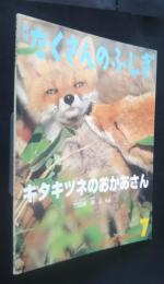 キタキツネのおかあさん　月刊たくさんのふしぎ　304号