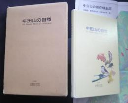 牛田山の自然