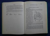 Learn Hungarian-Tanuljunk nyelveket！