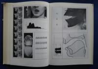 Fejezetek a magyar leíró fonológiájából
