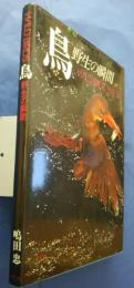 鳥‐野生の瞬間　Wild Birds
