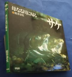 サケ‐母なる川に帰る