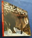 ニホンカモシカ‐孤高の森の野生
