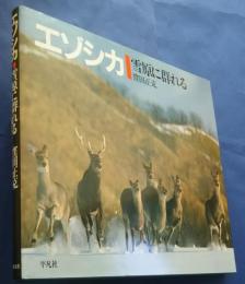 エゾシカ‐雪原に群れる