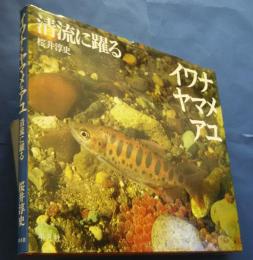 イワナ・ヤマメ・アユ‐清流に躍る