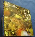 イワナ・ヤマメ・アユ‐清流に躍る