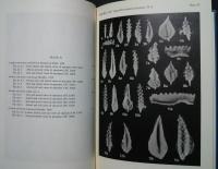 CONODONT BIOSTRATIGRAPHY OF THE UPPER DEVONIAN REEF COMPLEXES OF THE CANNING BASIN,WESTERN AUSTRALIA-BMR　Bull.158,Vol.2(Plates)