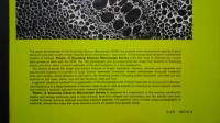 plants -A Scanning Electron Microscope Survey
