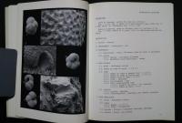 atlas des principaux foraminiferes planctoniques du bassin mediterraneen -oligocene a quaternaire