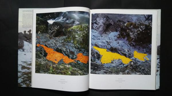 ANDY GOLDSWORTHY作品集 Andy Goldsworthy アンディ ゴールドワージー